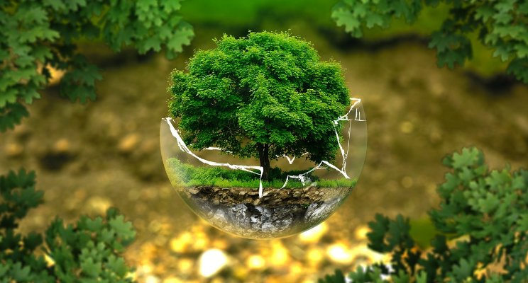 ITALIA GREEN ECONOMY ARTICOLO